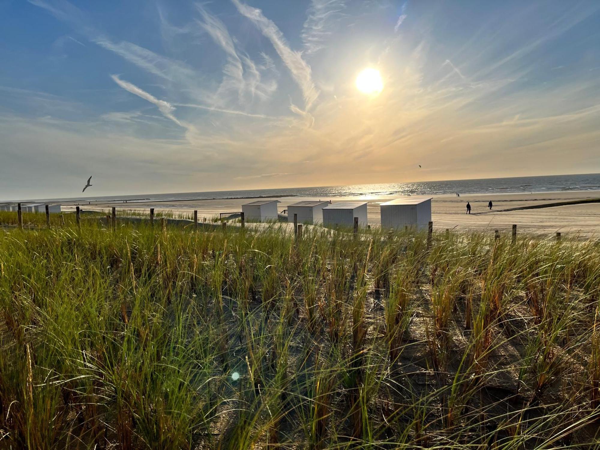 Beach Bungalow Green Villa Middelkerke Buitenkant foto